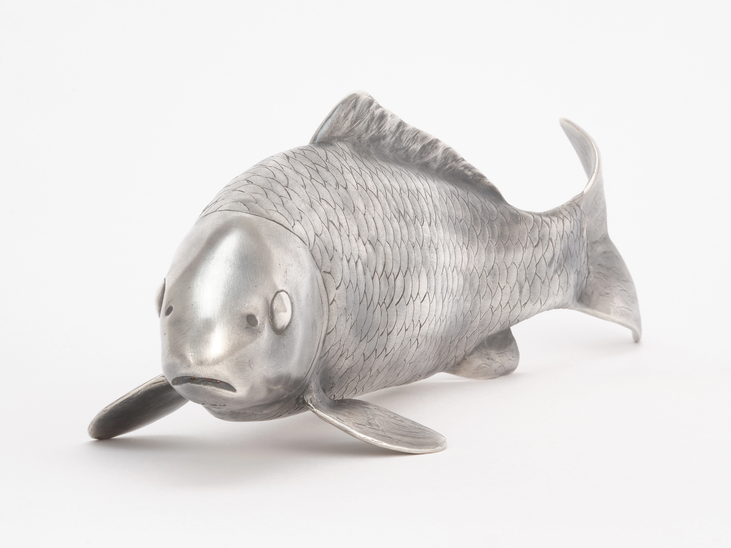 Jana Pfeifer Koi, Nahansicht von schräg vorne, der Kopf scharf im Fokus, die Schwanzflosse verschwimmt