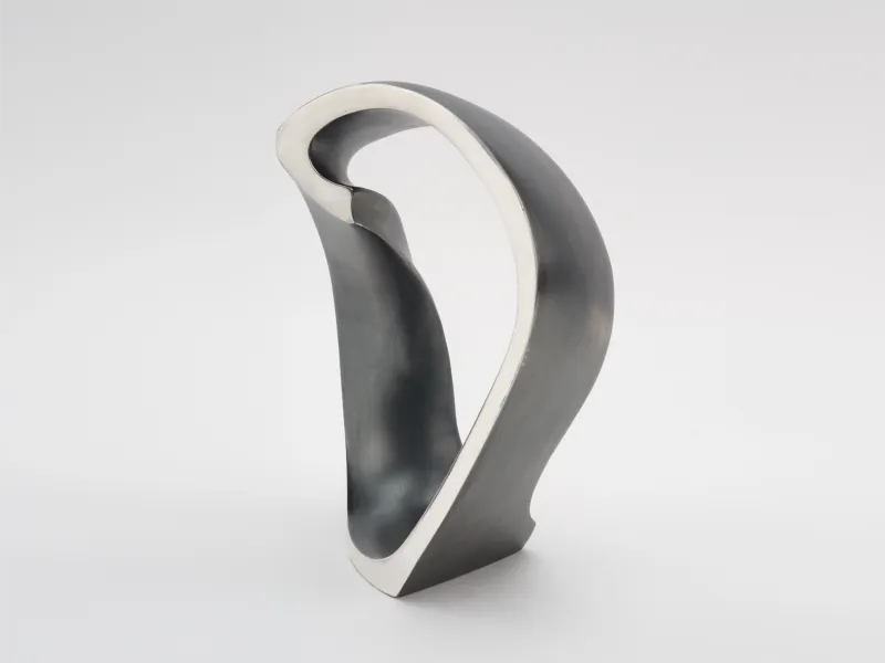 Pierre-Paul Maillé Melody, geschwungene Bandform aus dunklem Silber mit polierter Innenkante, Seitenansicht