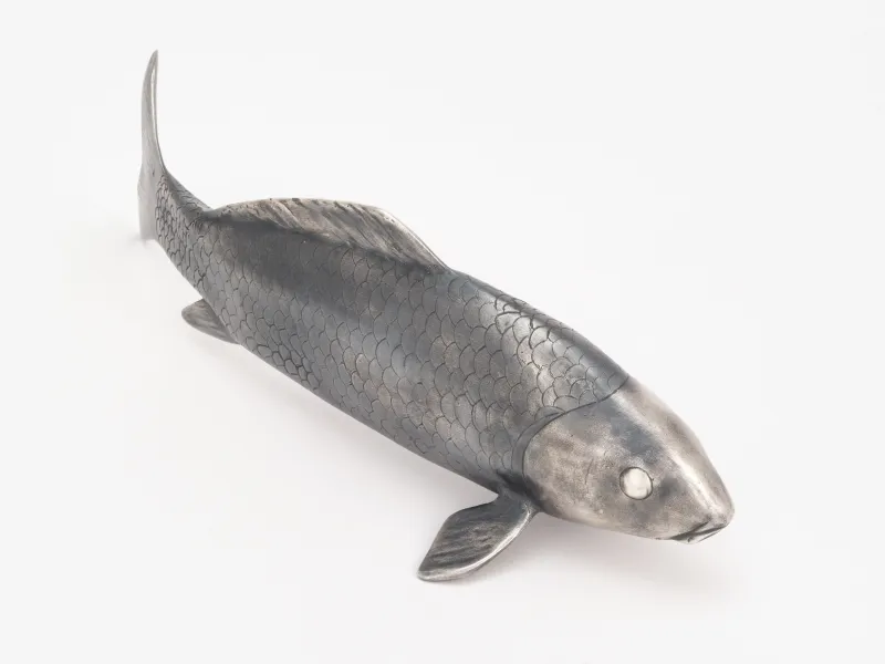 Jana Pfeifer Koi, Ansicht von schräg oben, der Fisch scheint dem Betrachter entgegen zu schwimmen